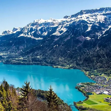 公寓 River-2 With Iconic Jungfraujoch View 因特拉肯