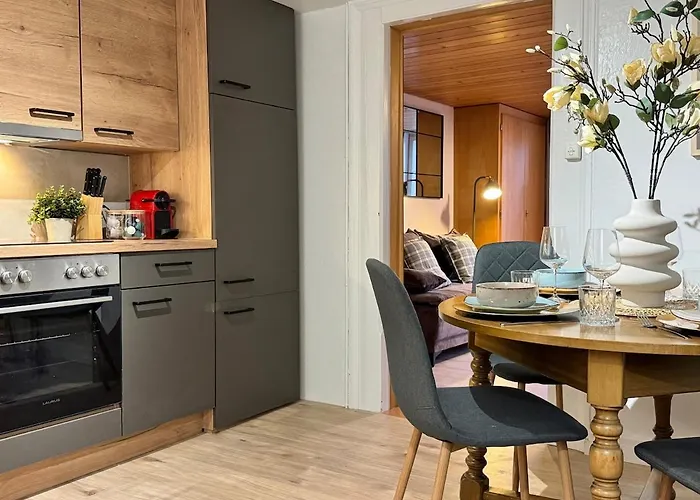 River-2 With Iconic Jungfraujoch View 因特拉肯